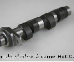 Arbre � cames stage 2 Hot Cams POLARIS SPORTSMAN 500/HAWKEYE 400