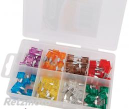 Boite de 100 mini-fusibles DRAPER