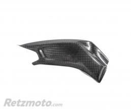 Carter de bras oscillant LIGHTECH carbone brillant Bmw S1000R