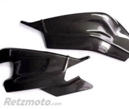 Carter de bras oscillant LIGHTECH carbone brillant Bmw S1000Rr