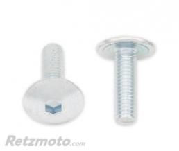 Vis t�te bomb�e plate BOLT M6x1,00x20mm