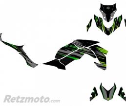 KIT D�CO MOTO NIGHT KAWASAKI Z 900 NOIR VERT