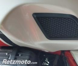 Prot�ge Genoux - MOTO GUZZI V7-897021