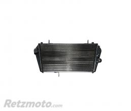 Radiateur eau Aprilia Shiver 750/900-Dorsoduro 750/900-897162
