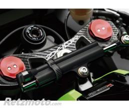 ONE DESIGN Prot�ge T de fourche Carbone pour Kawasaki Zx10R 2011-2015 Format : 284,9x82mm.