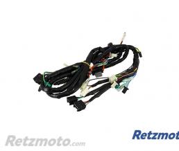 Faisceau �lectrique complet MBK Booster 2004-2014 (oem 5WW-H2590-00)