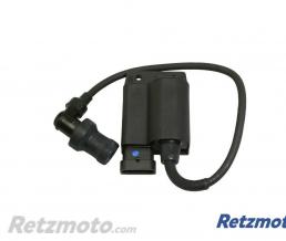 PIAGGIO Bobine/CDI allumage Aprilia Scarabeo 100/Piaggio Fly 100-639832