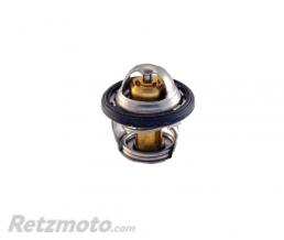 RTZ Thermostat Kymco 300 Maxxer/Agility