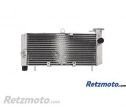 JMP- Radiateur refroidissement Honda CB600 hornet 98/06(oem 19010-MBZ-611)