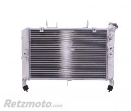 JMP- Radiateur refroidissement Yamaha MT-09/XSR900(oem 2PP-12461-00)