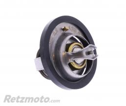 RTZ Thermostat Honda XRV750/XLV650/VT750/NTV650(19300-KE8-000)