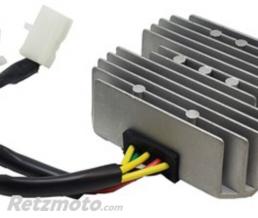 TECNIUM R�gulateur TECNIUM by DZE