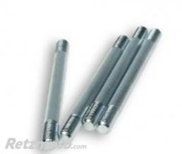 TECNIUM Goujon de cylindre B1 AM6 (par 4)