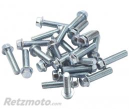 RFX Vis � bride t�te hexagonale RFX M6 x 20mm - pack de 25