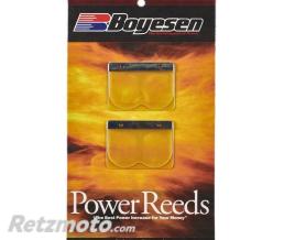 BOYESEN Clapets BOYESEN Power Reeds - 616