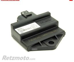 DELLORTO Bo�tier de commande DELLORTO ECU Racing 45km/h