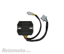 ELECTROSPORT R�gulateur de tension ELECTROSPORT