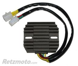 ELECTROSPORT R�gulateur de tension ELECTROSPORT