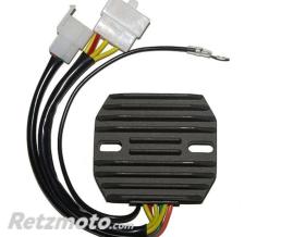 ELECTROSPORT R�gulateur de tension ELECTROSPORT