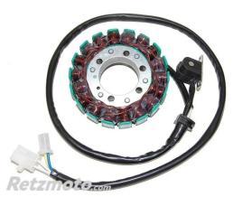 ELECTROSPORT Stator ELECTROSPORT-YAMAHA FZS 600 FAZER