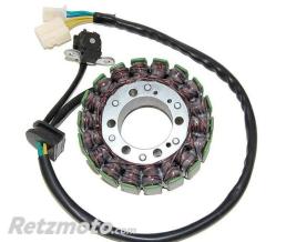ELECTROSPORT Stator ELECTROSPORT - Honda CBF1000