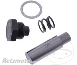 OEM Kit Tendeur de Cha�ne de Distribution (Pi�ce origine oem)