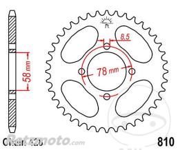 JT SPROCKETS Couronne 48 Dents Pas 428