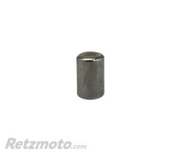 APRILIA 
					Goupille (5X8) Roue Phonique Allumage Origine Piaggio Aprilia 450-550 Sxv, Rxv -AP9150380
				