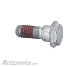 APRILIA 
					Vis Fixation Disque Avant (8X23) Avec Frein Filet Origine Piaggio 50 Sxr Aprilia 2021> -1C005075
				