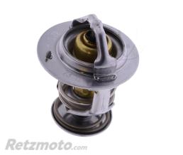 OEM Thermostat - Honda VFR800/XL750/CBR1000RR