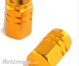 BRAZOLINE Paire de bouchons de valves ECROU OR (6 couleurs)