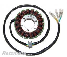 ELECTROSPORT Stator adaptable origine SUZUKI ELECTROSPORT