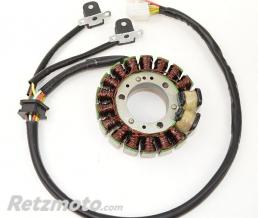 ELECTROSPORT Stator adaptable origine SUZUKI ELECTROSPORT
