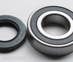 KIT ROULEMENTS DE ROUE ARRIERE + JOINTS SPYS POUR FZR600R 1994-95 ET FZS600 1998-99