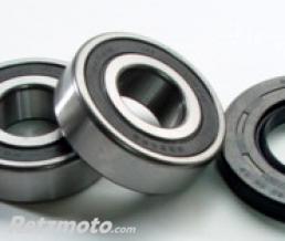KIT ROULEMENTS DE ROUE ARRIERE + JOINTS SPYS POUR CBR600F 1997-00 ET CB900F HORNET 2002-03