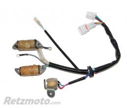 Stator ELECTROSPORT - Yamaha YFM