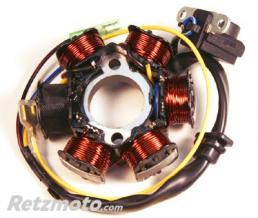 Stator ELECTROSPORT Honda TRX90/Fourtrax