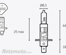 Bo�te de 10 ampoules V PARTS H1 12V55