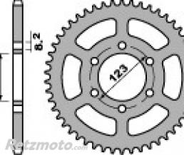 Couronne PBR 49 dents acier standard pas 428 type 4607 DERBI GPR 4T