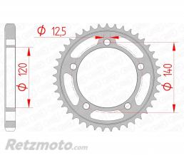 Couronne AFAM 41 dents acier pas 530 type 14911 Suzuki GSX1340 B-King