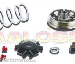 Variateur MALOSSI Multivar Keeway Matrix/F-Act