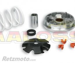 Variateur MALOSSI Multivar Peugeot Ludix/Jet Force 50
