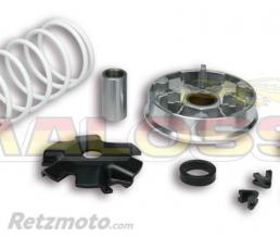 Variateur MALOSSI Multivar Kymco 2tps