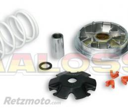 Variateur MALOSSI Multivar Peugeot Tweet/Speedfight 3