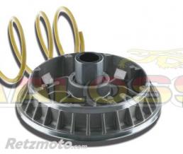 Variateur MALOSSI Multivar Suzuki Burgman 400