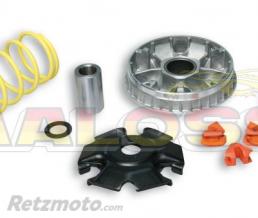 Variateur Malossi Multivar SYM GTS 250/300