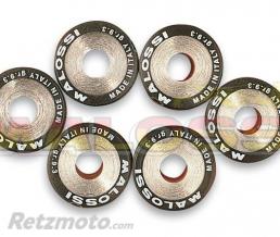 Galets �23X18 - 12g Malossi par 6