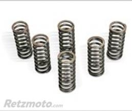 KIT RESSORTS D'EMBRAYAGE POUR RM250 06-08