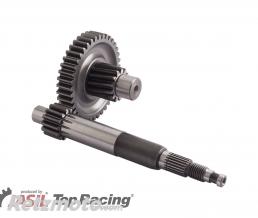 Engrenage pour GILERA STALKER, PIAGGIO Typhoon, PEUGEOT 13-39/13H