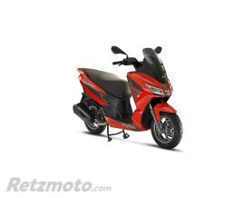 SXR 50